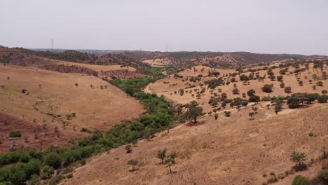 Aerial-View-Of-Lush-Creek-Vegetation-On-Arid-Hillside-Valley-In-Alentejo,-Portugal