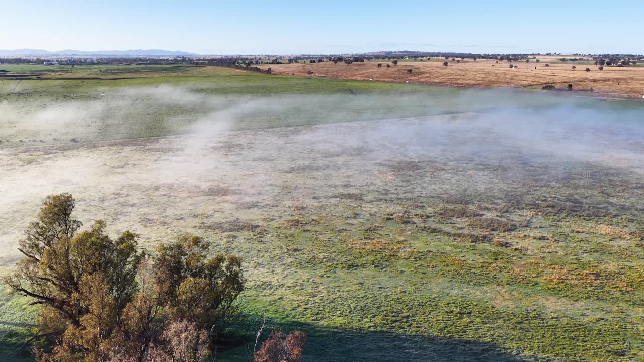 Drone glides above a mist-covered pond and grassy field in Tamworth, Australia, revealing tranquil morning light, sparse trees, and wide rural landscape