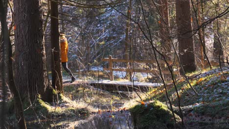 4K-Video-Einer-Jungen-Kaukasischen-Frau,-Die-Im-Schneebedeckten-Wald-Spaziert