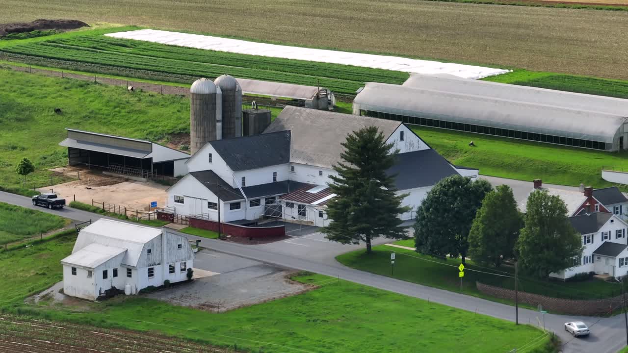 Pickup Truck on street in front of american farmers house with agricultural farm fields. Descend drone wide shot. Silo storage on american farmstead. Cropland and growing plantation fields in USA.