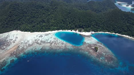 amazing view on islands, turquoise natural lake, coral reefs and white sandy beach in clear waters of raja ampat, wayag, indonesia, papua