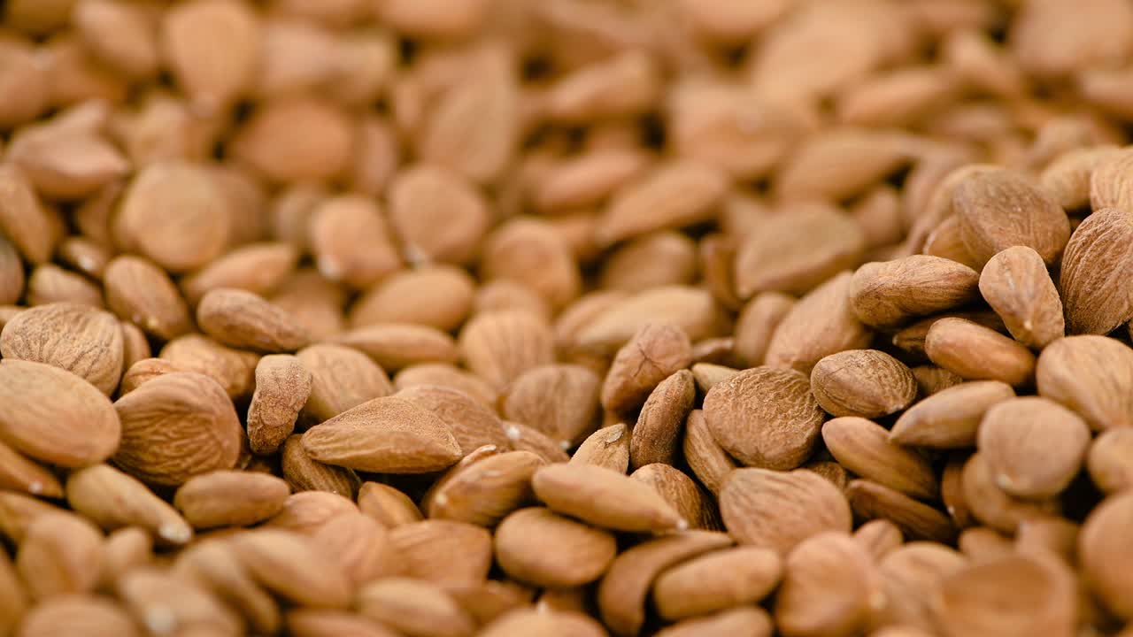 질이 벗겨진 아브리코스 어리가 회전하는 판에 (무로 을 수 있습니다)