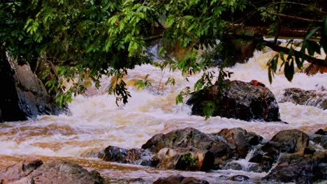 a tributary full of water in the amazon rainforest - fresh water, natural resources, erosion, supply