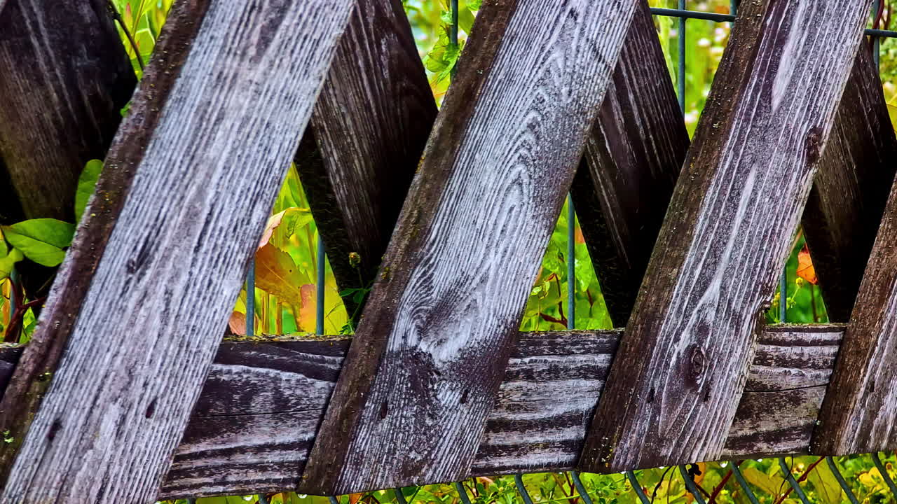 Diagonal wooden fence planks with peeling paint and green plants in background