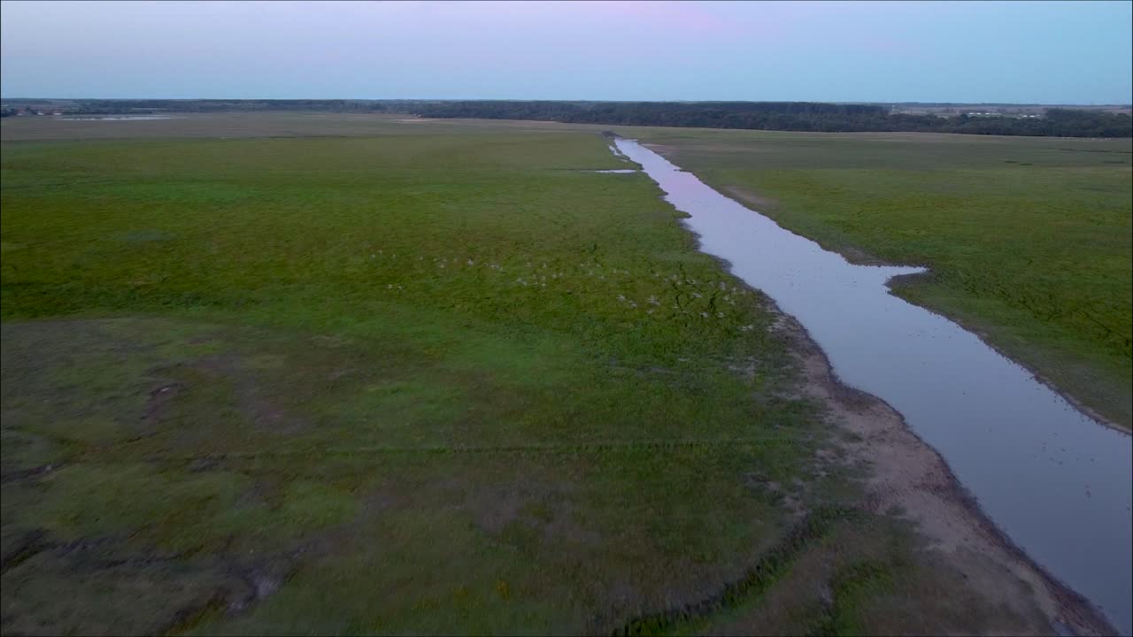 Drone che sorvola la pianura ungherese, sopra un fiume con uno stormo di uccelli nell'inquadratura