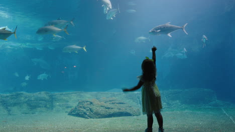 little girl in aquarium looking at fish swimming in tank happy child watching beautiful marine animals in oceanarium having fun learning about sea life in aquatic habitat