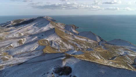 snowy mountains and coastline view