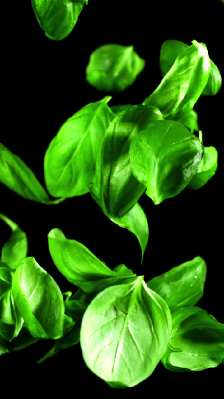 Foglie fresche di basilico verde che cadono al rallentatore su sfondo nero