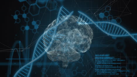 animation of dna strands and brain over data processing