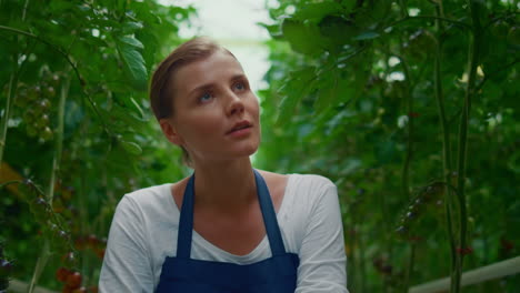 Agricultor-Inspecciona-Plantaciones-De-Tomate-En-Granja-Orgánica.-Mujer-Empresaria-Revisa-Plantas