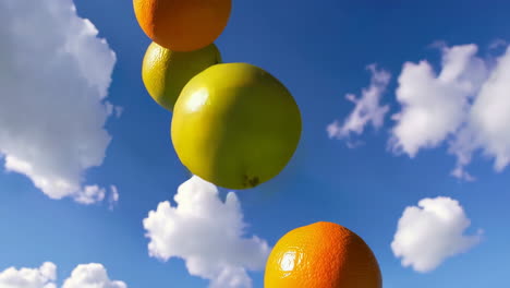 citrus fruits floating in a blue sky