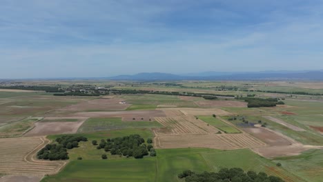 flight with a drone visualizing a large area of crop fields where we can see some green, others harvested, there are also plows and productive trees with a background of a blue sky