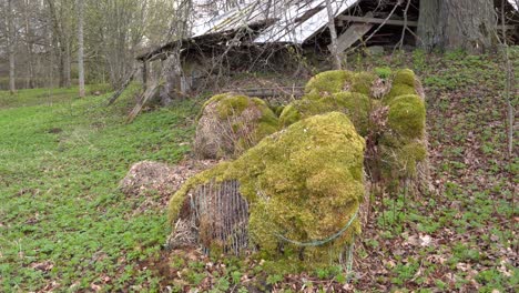 mossy hay rolls near damaged farmstead in gimbal closing up view