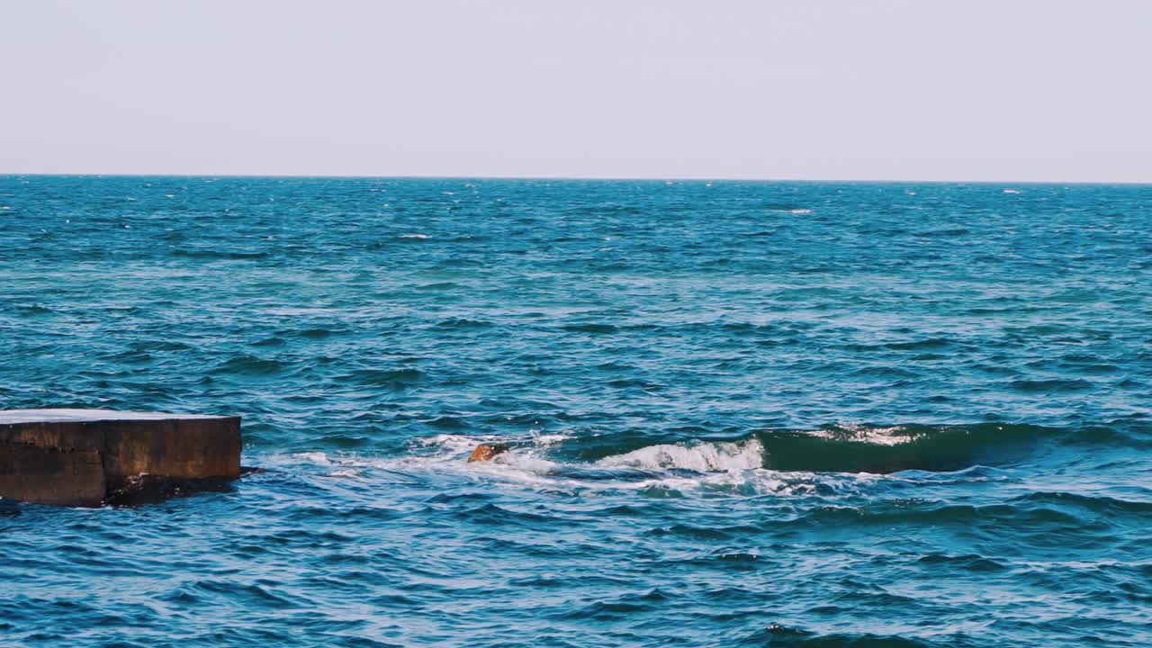 Beautiful sky and blue ocean. Seascape with wide horizon of the sky and the sea