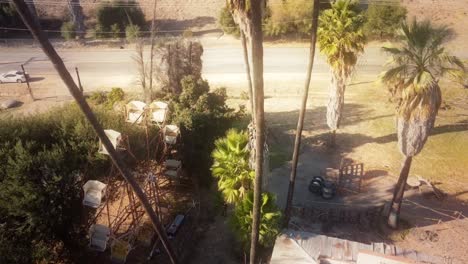 aerial through palm trees towards an abandoned ferris wheel