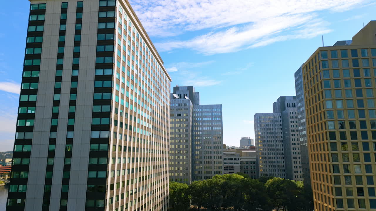 Rising over the lush greenery in the neighborhood among the high-rise buildings. View on the river at backdrop. Pittsburgh, Pennsylvania, United States