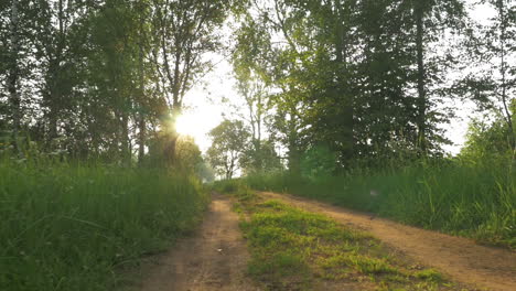 Camino-Rural-Sin-Asfaltar-Al-Amanecer