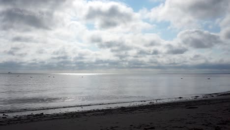 Seagulls-Floating-on-the-Water-with-Boats-in-the-Distance-on-a-Cloudy-Day