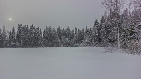 Time-lapse-shot-of-stormy-grey-winter-day-with-snowfall-and-rain-in-forest-landscape-during-grey-sunset---Window-view-from-apartment-in-wilderness