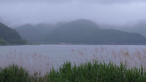 lake kawaguchiko at mount fuji in japan - the famous fujiyama