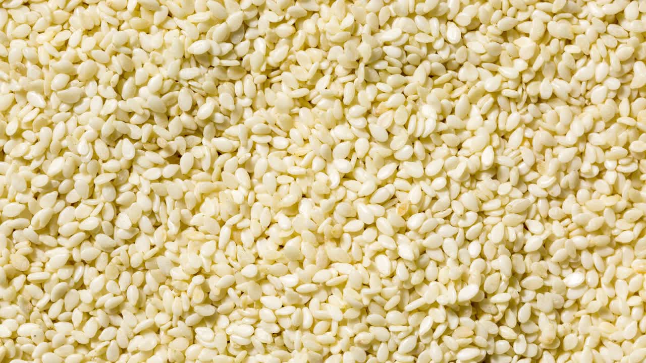 세 씨 전체 프레임 매 매