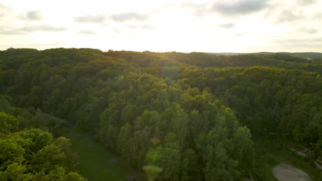 Hermoso-Bosque-Con-Exuberantes-Copas-De-Los-árboles-En-Polanka-Redlowska,-Gdynia,-Polonia---Toma-Aérea-De-Drones