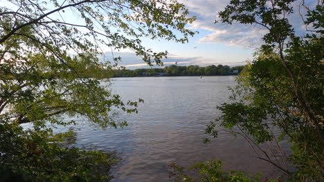 lake view, riverside, river summertime view, nature, birds, landscape, forest, park, smooth cinematic camera movement