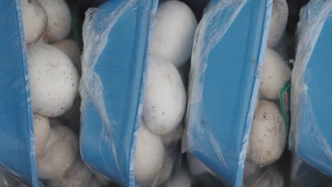 packed button mushrooms