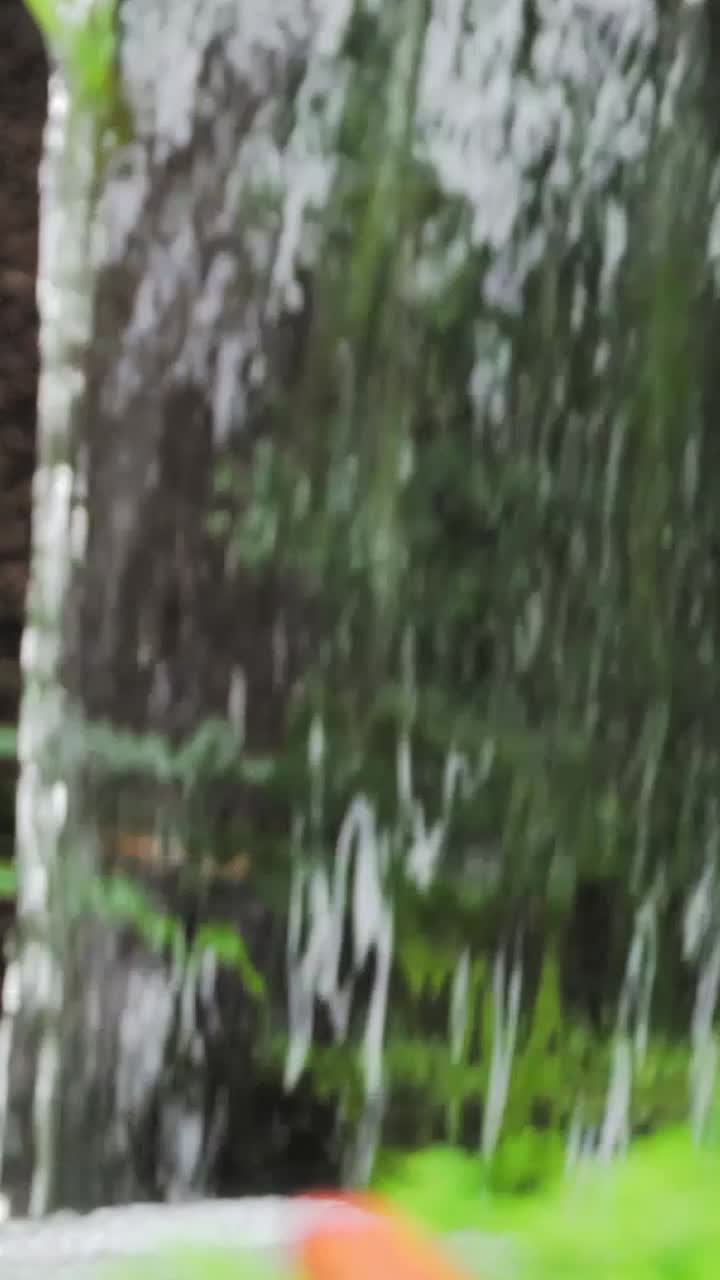 Water Feature in a Garden