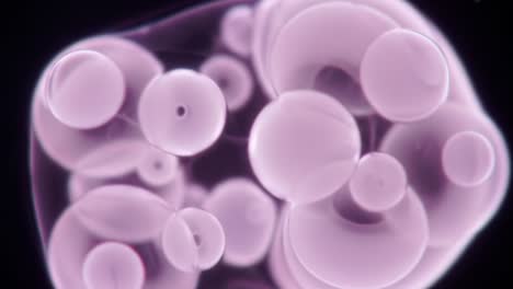 a stunning visual transition between two stages of bubbles displaying vivid colors and unique structures in a mesmerizing underwater microscopic environment