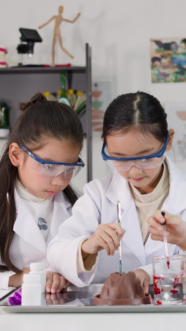 Dua siswa muda mengenakan kacamata pengaman melakukan percobaan kimia menggunakan model gunung berapi di dalam ruangan.