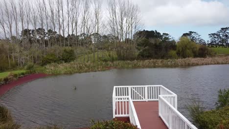 Drone-Vuela-A-Través-Del-Balcón-Rosado-Junto-Al-Lago