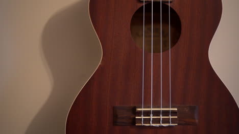 ukulele hanging in display on the wall of a music lover's home - panning view of the body