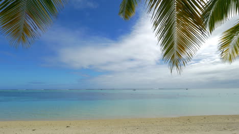 Horizonte-Del-Océano-Playa-Y-Ramas-De-Palmeras