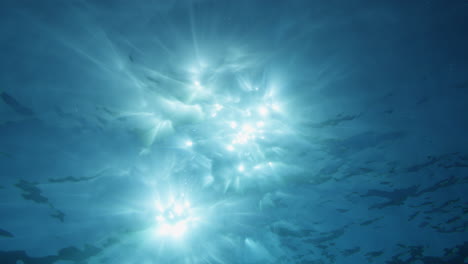 sunbeams penetrating wavy ocean surface. ocean background light shafts vfx element. underwater tropical marine footage. diving, snorkeling paradise. summer vacation destination. ocean vfx elements.