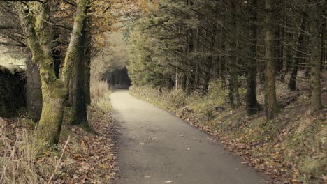 A-long-farm-path-leading-to-Pendle-Hill-in-Lancashire-on-an-Autumn-day