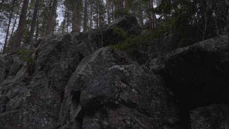 below a stone hill in a mystical forest