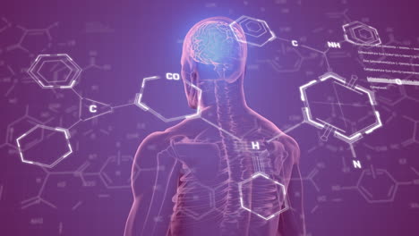 animación de estructuras químicas sobre un modelo giratorio del cuerpo humano con un cerebro en fondo púrpura