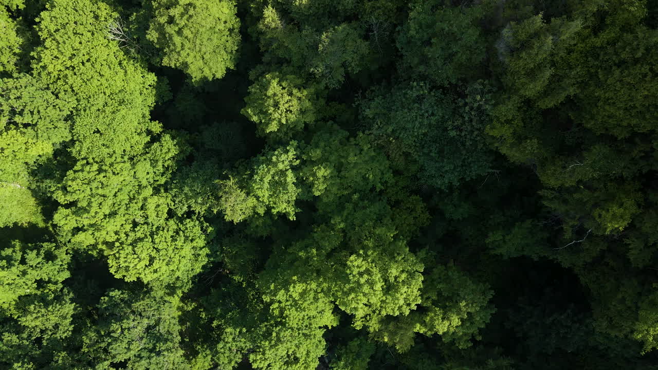 de arriba hacia abajo volando hacia atrás sobre una cascada delgada en ontario, canadá
