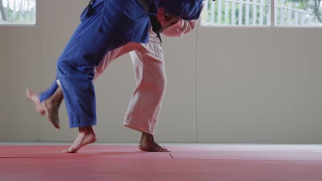 judokas training by doing a randori on the judo mat