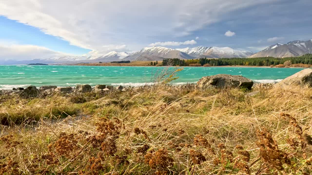 Golden grasses and thorny plants sway in strong wind along a turquoise lake shore, with snow-capped mountains and dramatic storm clouds in the background
