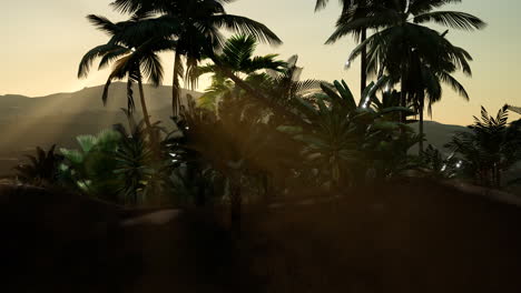 Kokospalmen-Tropische-Landschaft