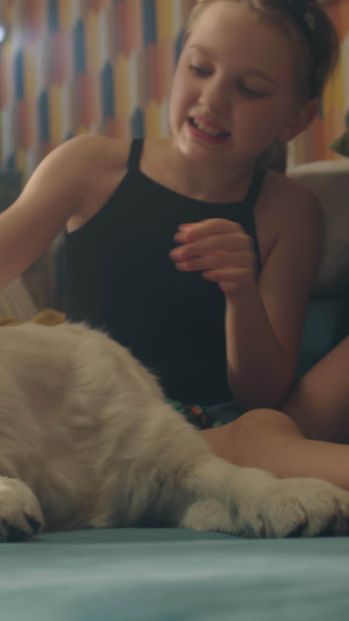 강아지들과 놀고 있는 소녀