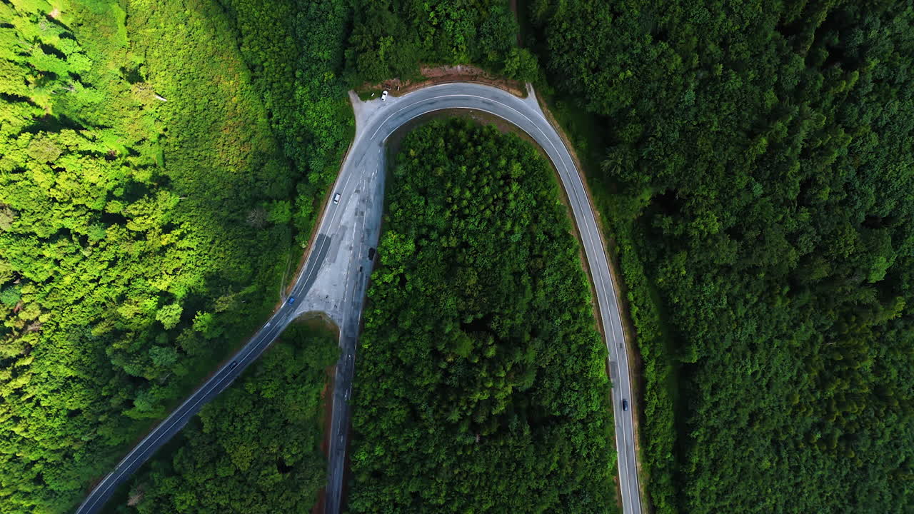 Highway loop in the lush green forests. Cars run by the road in the woods. Top view.