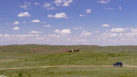 spring horses steppe clouds car meadow 4k