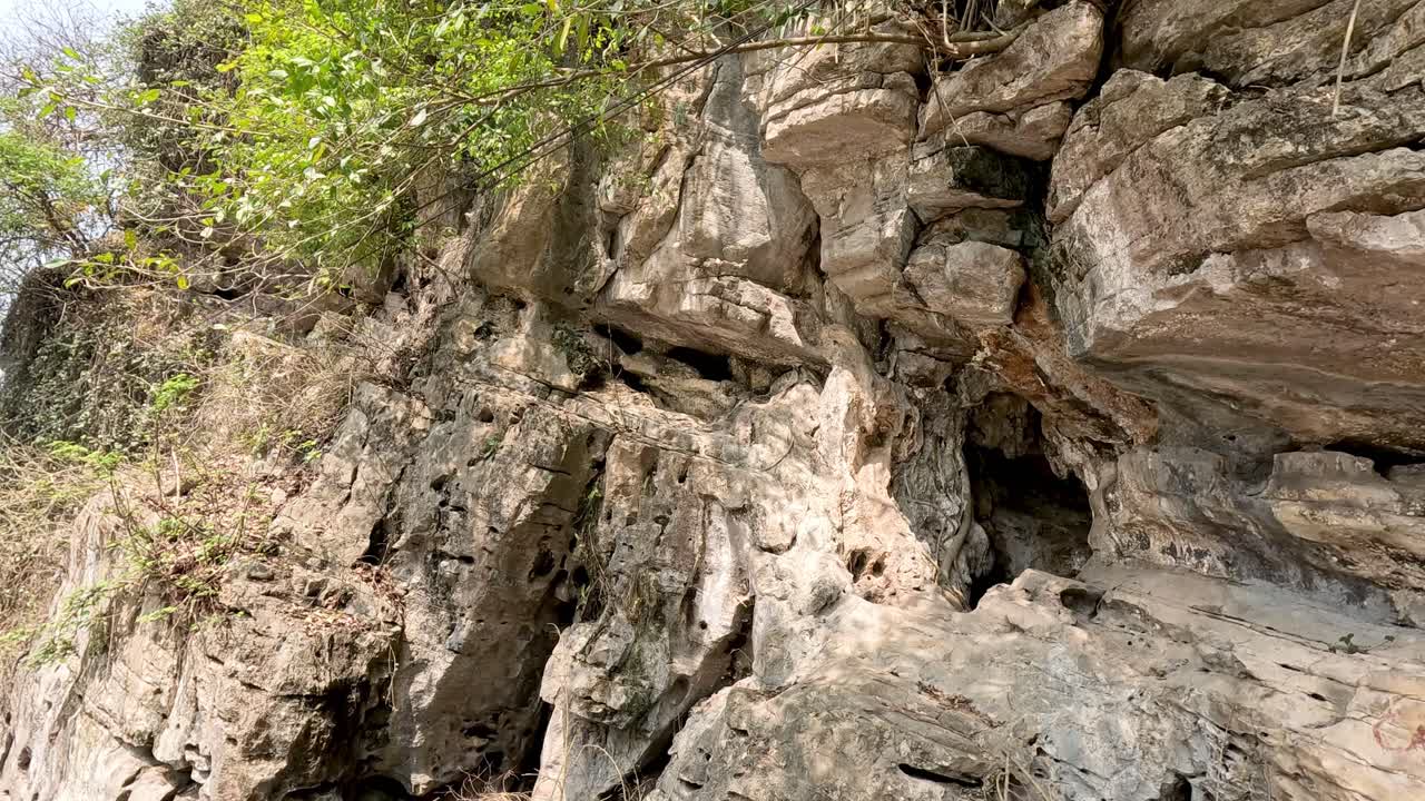 la entrada de la cueva rocosa rodeada de exuberante vegetación