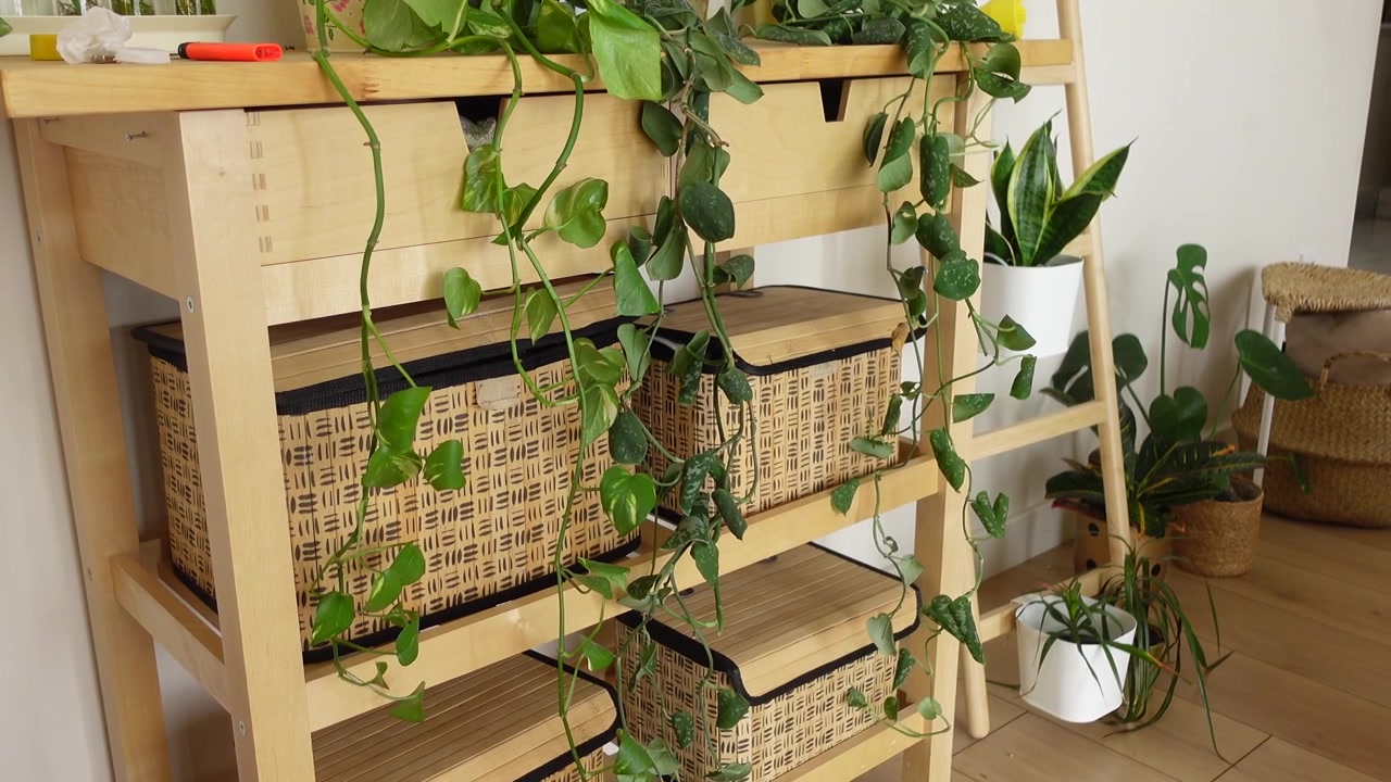 Scaffale in legno con piante in vaso e cesti portaoggetti intrecciati