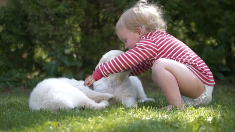 Toddler-gently-kissing-gorgeous-white-puppy-in-outdoor-summer-scene,-slowmo