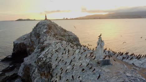 Many-birds-sitting-on-rocks-of-ocean-during-golden-sunset