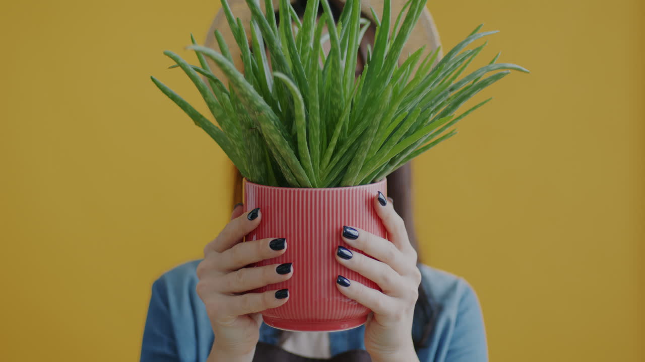 Woman Holding Aloe Vera Plant